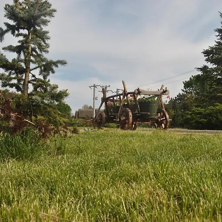 Lacul Racilor Hotel 3*